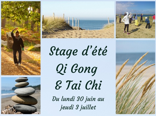 Visuel stage d'été